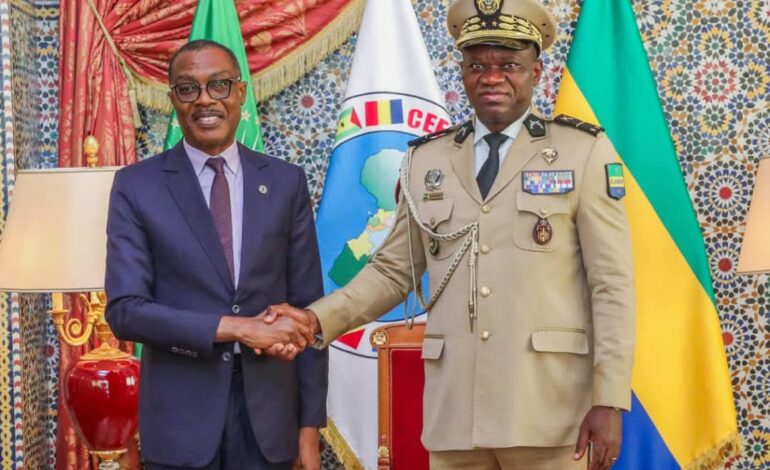 Renforcement de la coopération entre le Chef de l’État et la Banque Africaine de Développement : Focus sur les projets stratégiques