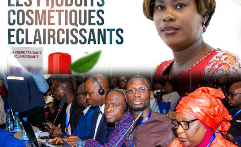 Deuxième journée des travaux de l’atelier régional à Libreville : L’engagement des acteurs clés contre les produits cosmétiques nocifs