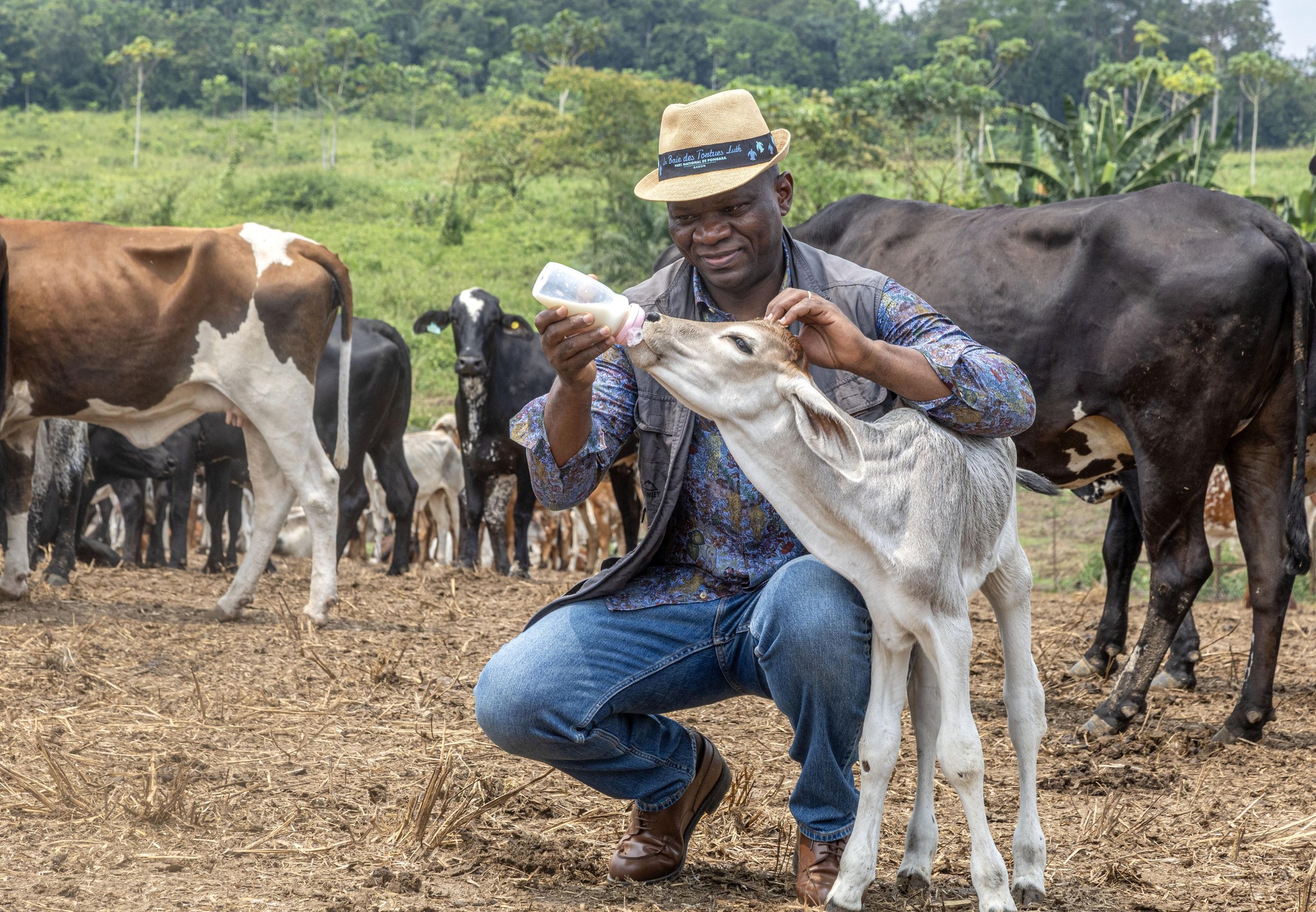 Brice Clotaire Oligui Nguema en visite au site AGROPAG Ntoum : Un engagement fort pour l’autosuffisance alimentaire et la création d’emplois