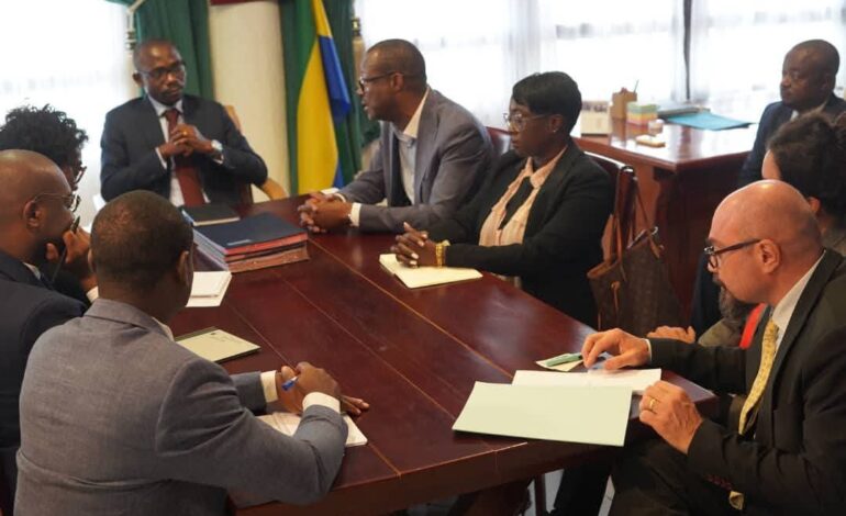 Gabon : Une rencontre clé pour la préservation des écosystèmes avec la Primature