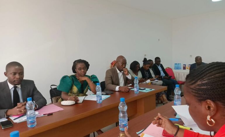 Audit juridique à l’Institut Gabonais de l’Image et du Son : Un pas vers une gouvernance plus transparente