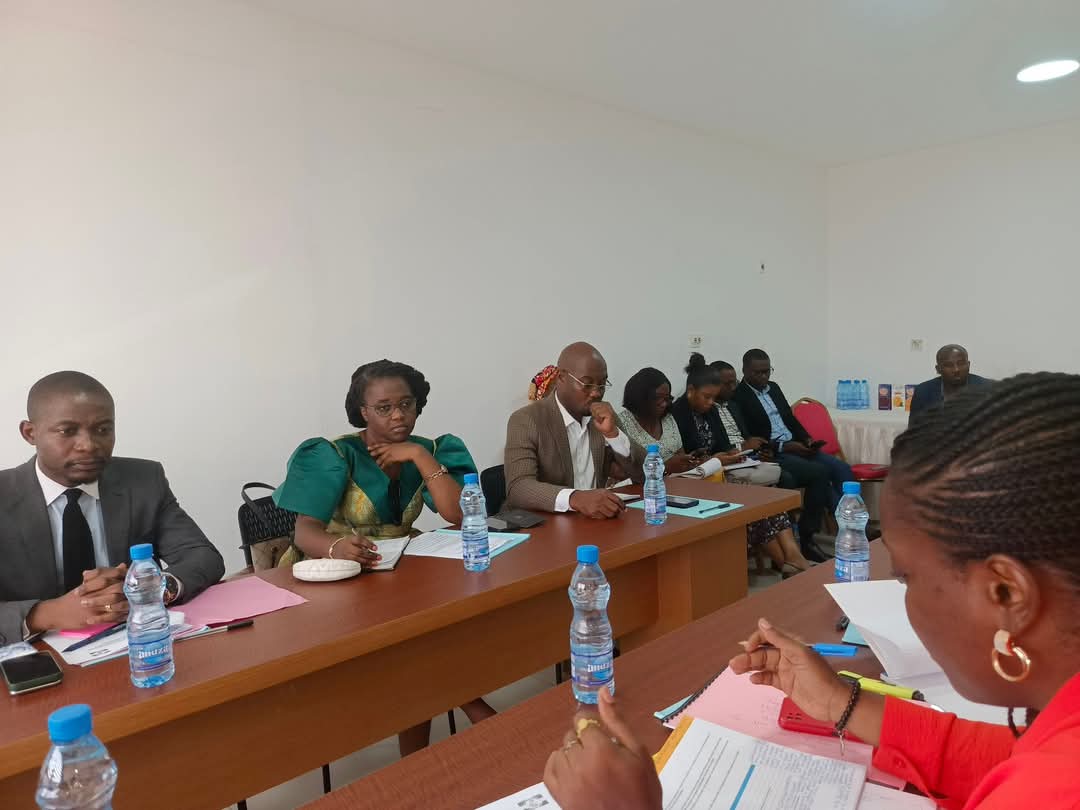 Audit juridique à l’Institut Gabonais de l’Image et du Son : Un pas vers une gouvernance plus transparente