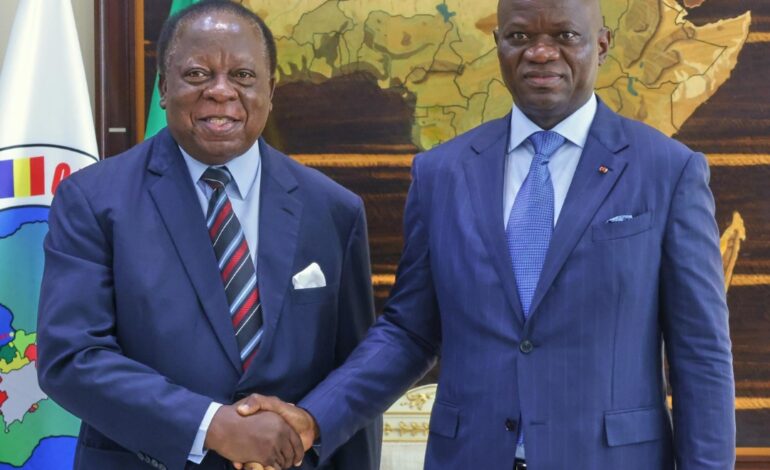 Diplomatie : Le Président Oligui Nguema reçoit un message officiel de son homologue zambien