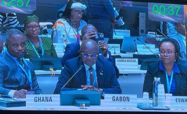78e Assemblée Mondiale de la Santé : Le Gabon plaide pour une solidarité sanitaire mondiale