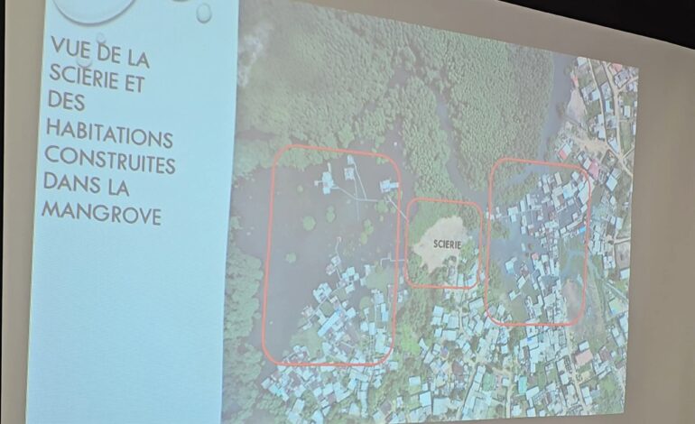 Mindoubé : le gouvernement lance une opération d’urgence pour sauver la mangrove