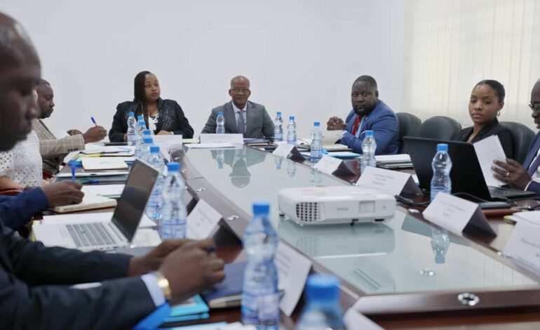 Libreville : Lancement officiel du comité de pilotage du projet PAEEG