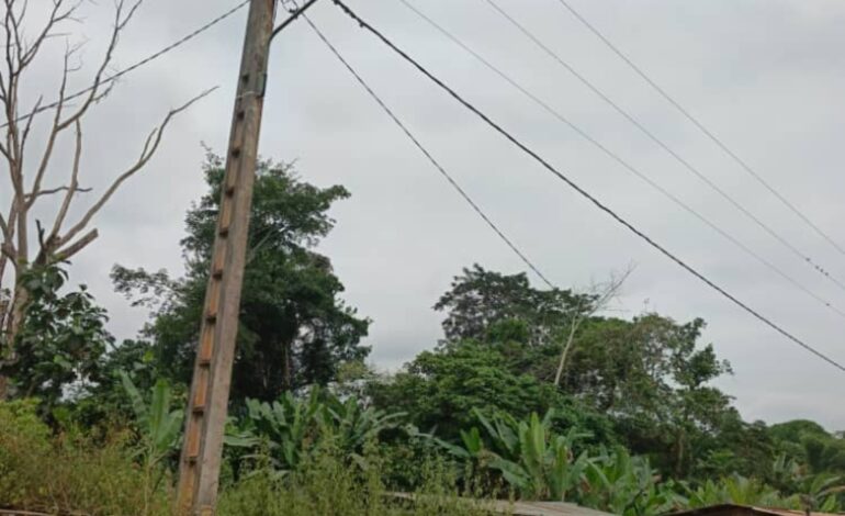 Retour de l’électricité entre Youlou et Lebagny : la réactivité du Dr Armande LONGO, saluée dans l’Ogooué-Lolo