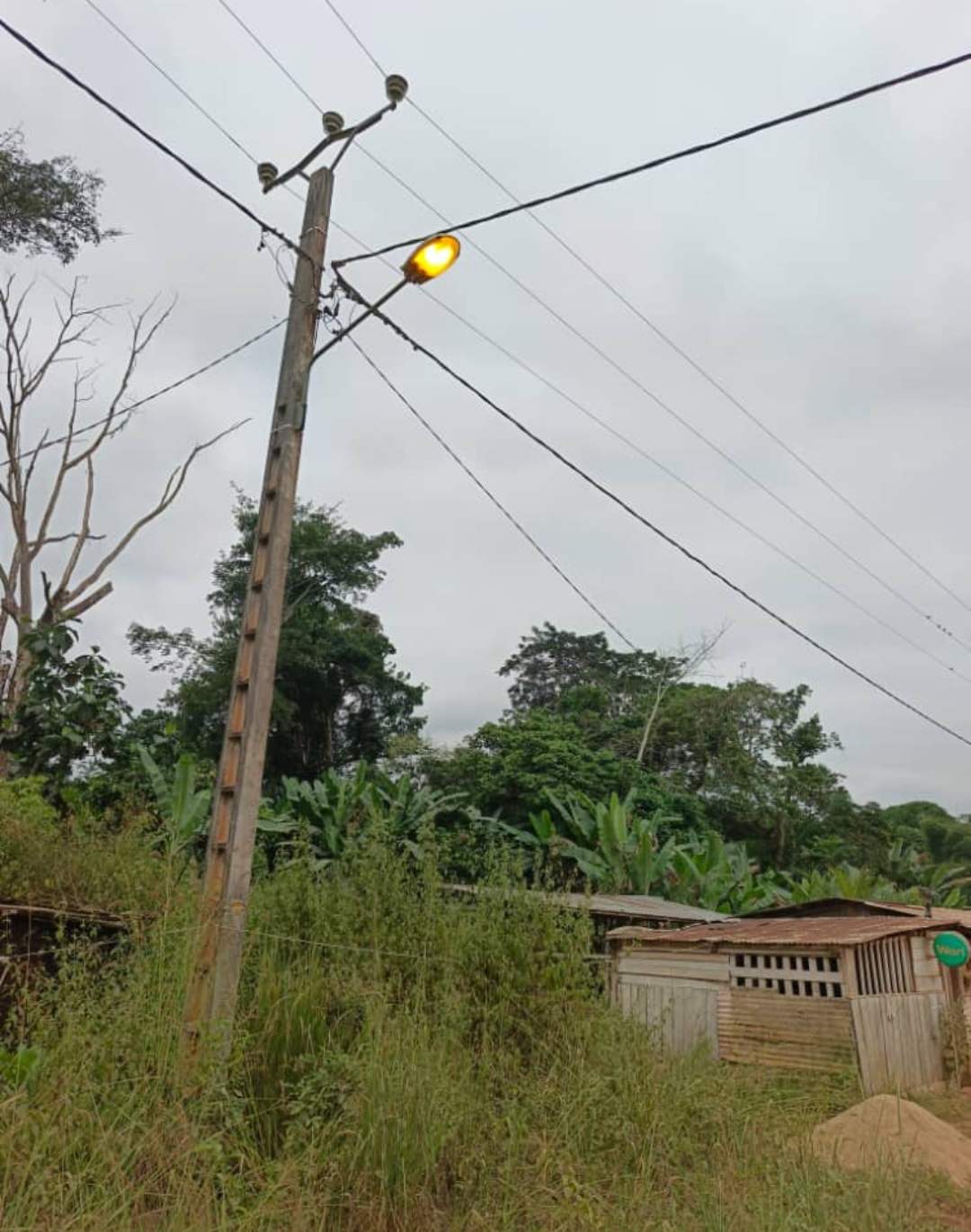 Retour de l’électricité entre Youlou et Lebagny : la réactivité du Dr Armande LONGO, saluée dans l’Ogooué-Lolo
