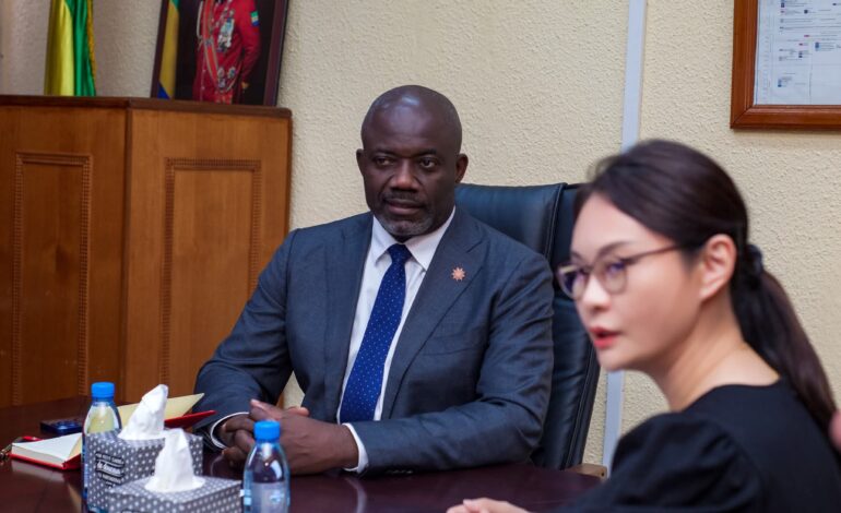 Des investisseurs chinois prêts à booster la transformation du manganèse au Gabon