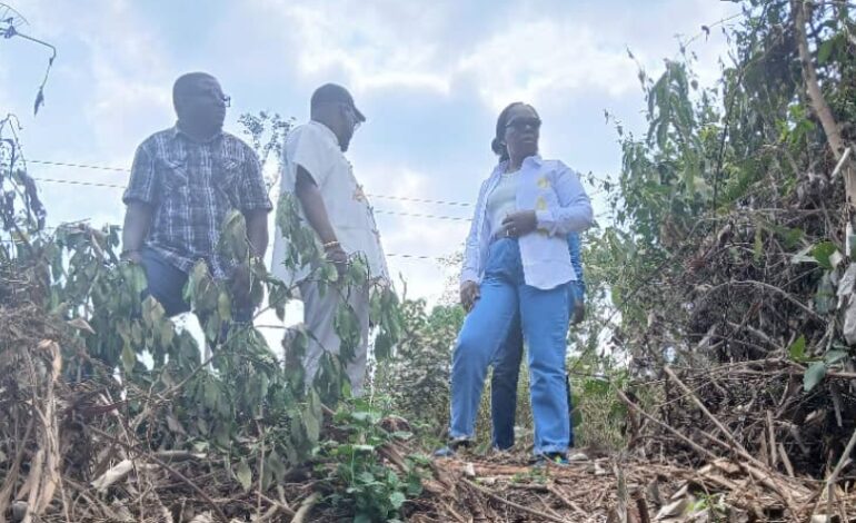 Un village, une plantation : la ministre Armande Longo impulse l’autosuffisance alimentaire dans le canton Basse-Lombo