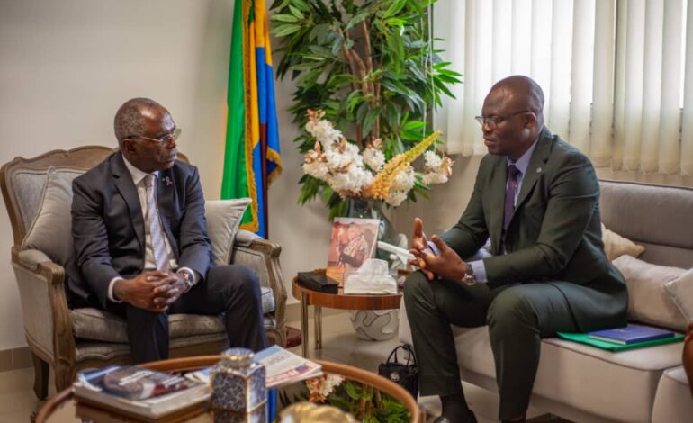 Gabon / L’ONG Afrique Espérance et Développement remet son rapport préliminaire au Ministre François Ndong Obiang