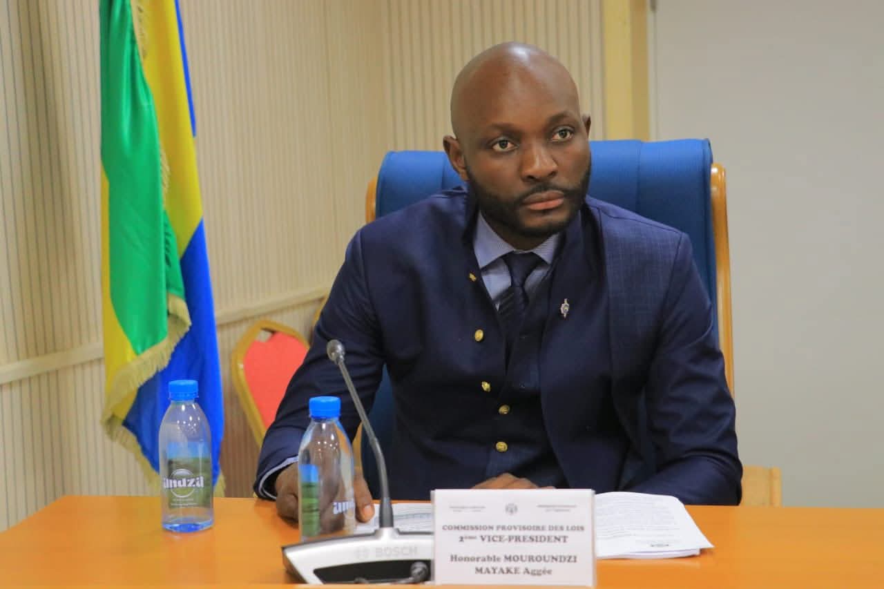 Assemblée Nationale : Le Député Aggée Mayaké nommé Vice-Président 2 de la Commission provisoire des lois