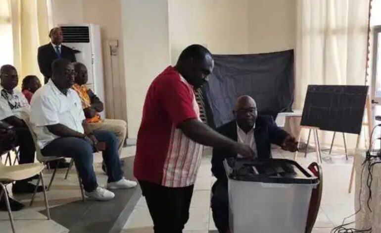 Gabon : L ’élection du CESEC consacre l’entrée dans une nouvelle phase institutionnelle