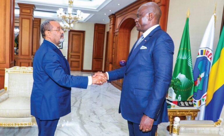 Le Président Brice Clotaire Oligui Nguema a reçu le nouveau Bureau du CESEC