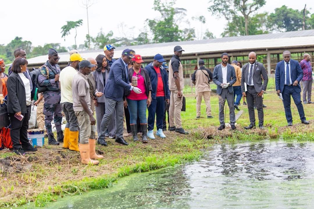 Gabon : Brice Clotaire Oligui Nguema visite la ferme BTF Farming à Malibé II