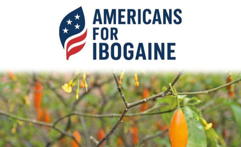 Libreville accueille une conférence internationale dédiée à l’Iboga et à l’Ibogaïne