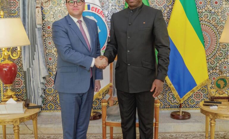 Coopération Bilatérale : Le Gabon et les États-Unis renforcent leur partenariat stratégique