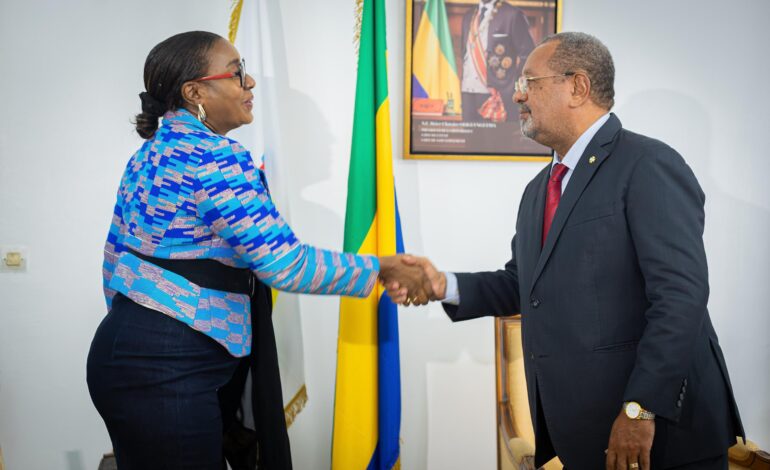 Coopération institutionnelle : Le Président du CESEC reçoit la Représentante du PNUD au Gabon
