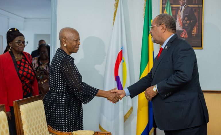 CESEC : Guy Bertrand Mapangou reçoit le collectif des Sénateurs de la 5e législature interrompue