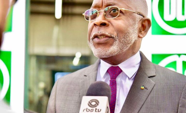 Le Gabon en quête de partenariats au Brésil pour industrialiser la filière avicole