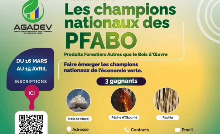 Économie Verte : l’AGADEV lance la chasse aux “champions” nationaux