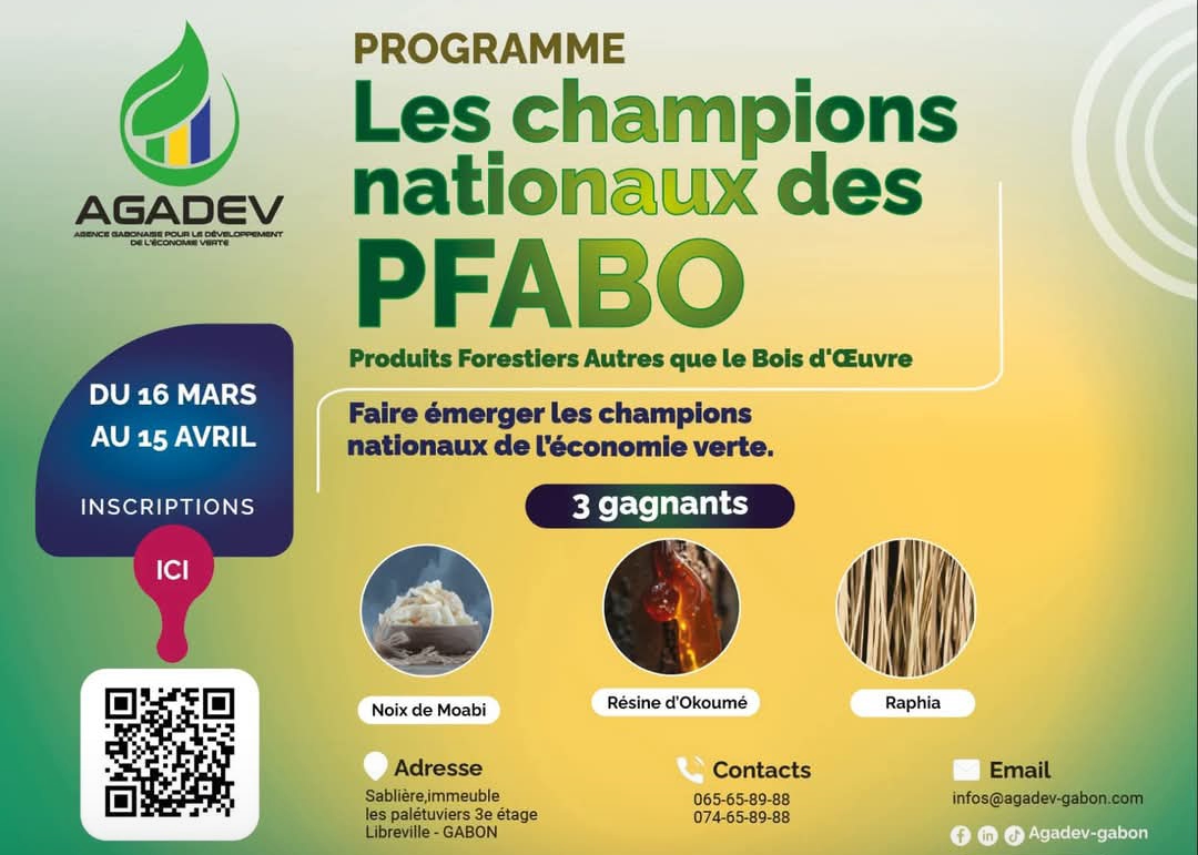 Économie Verte : l’AGADEV lance la chasse aux “champions” nationaux