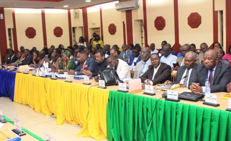 Conseil Municipal de Libreville /  Le Rejet du Budget Primitif exercice 2026 : Absence de sincérité, de réalisme ou rôle non assumé?