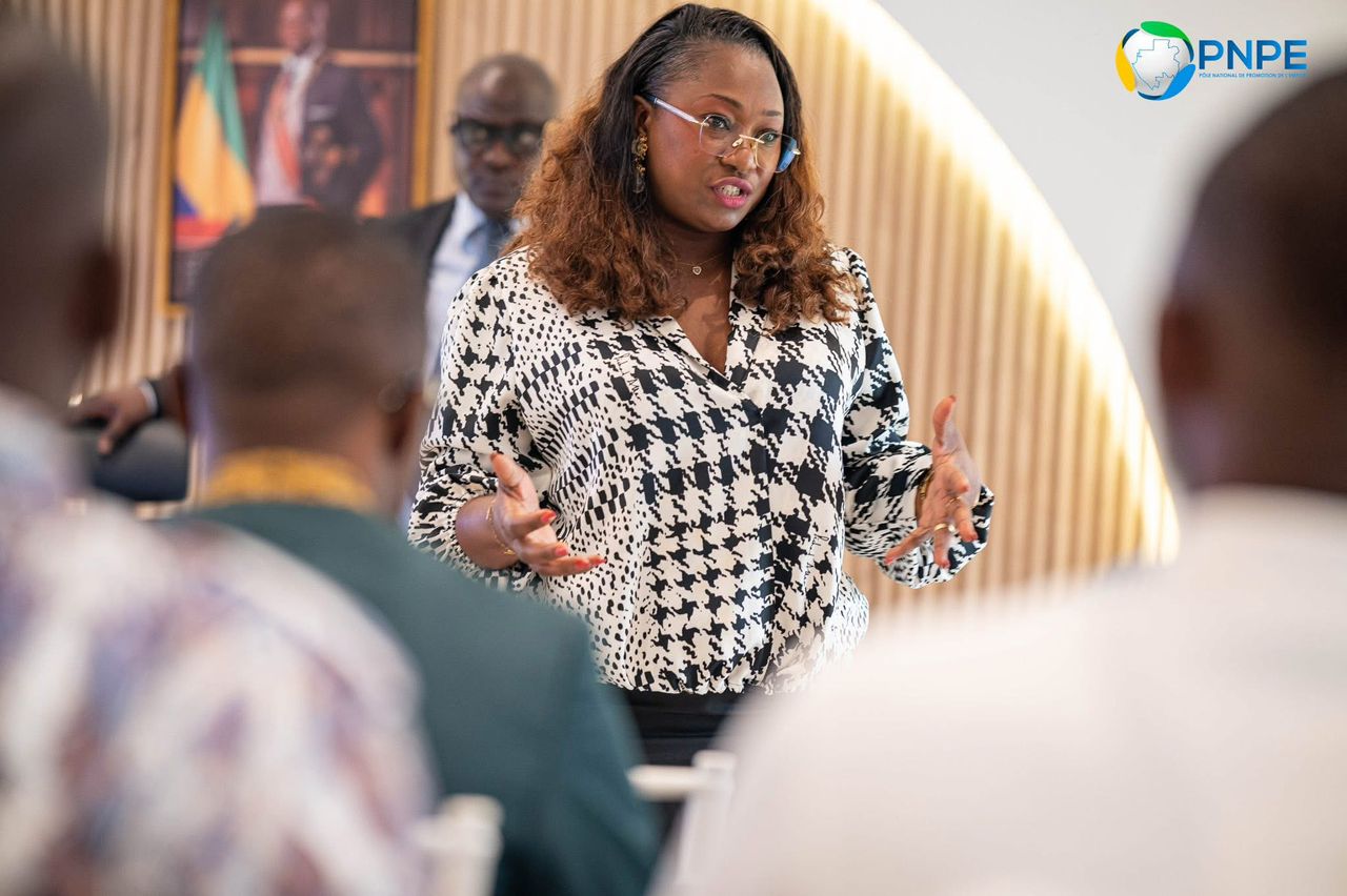 Gabon : Le PNPE lance une campagne pour promouvoir l’apprentissage en alternance