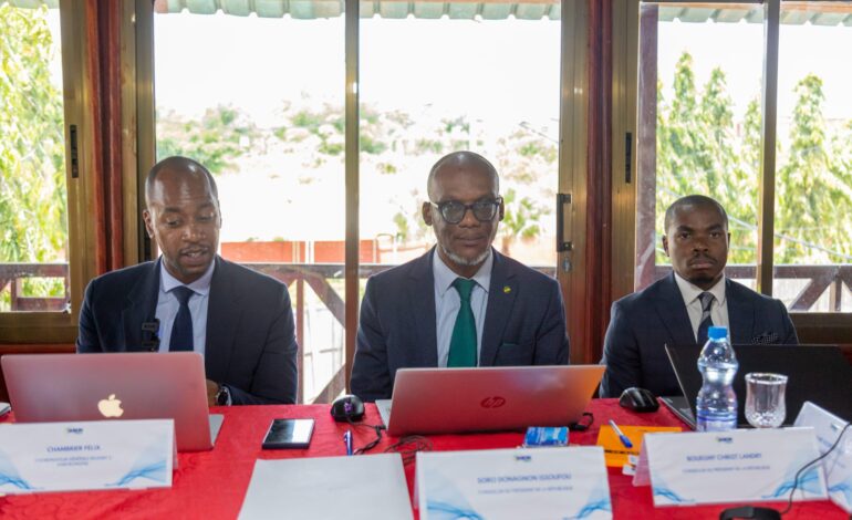 Transformation numérique: Le projet Gabon digital