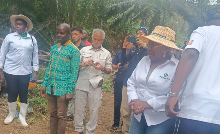 Riziculture : la JICA renforce son appui aux coopératives agricoles du PNSAV-PS au Gabon
