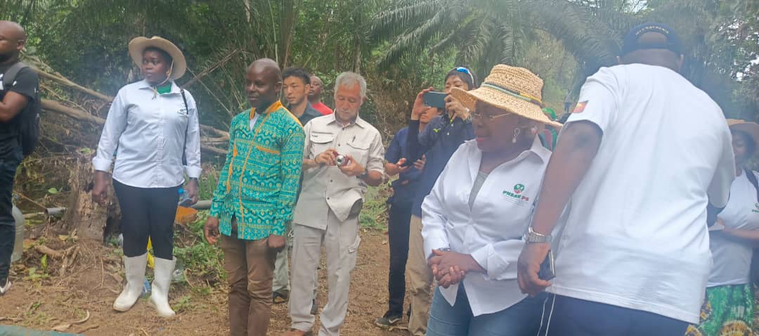 Riziculture : la JICA renforce son appui aux coopératives agricoles du PNSAV-PS au Gabon