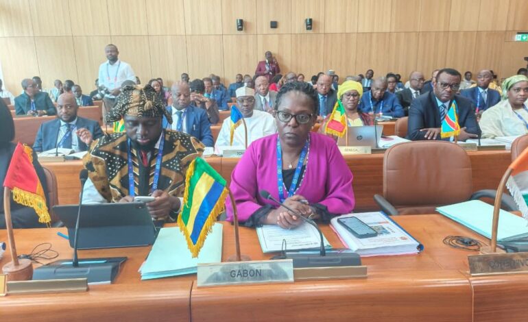 Protection sociale : le Gabon engagé aux travaux de la 40e session du Conseil des ministres de la CIPRES à Genève