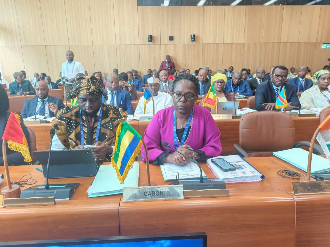 Protection sociale : le Gabon engagé aux travaux de la 40e session du Conseil des ministres de la CIPRES à Genève
