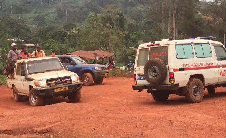 Louetsi-Wano : un abatteur tué par la chute d&rsquo;une branche à Mouyamba