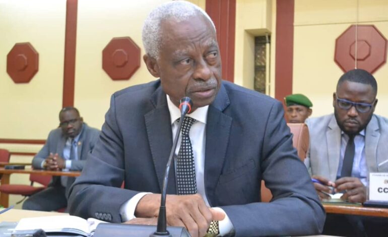 Libreville : Le marché Mayoumba entre dans l&rsquo;ère de la modernisation grâce à la FAO
