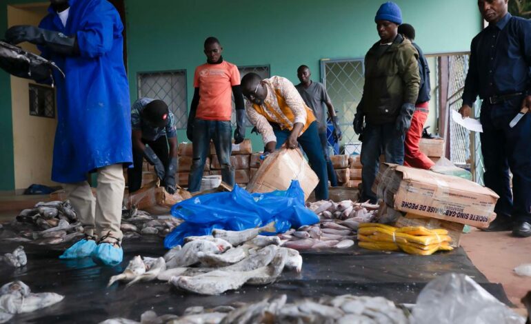 Fête de la Libération : Makokou se met à l’heure du poisson à 1 000 FCFA le kilo