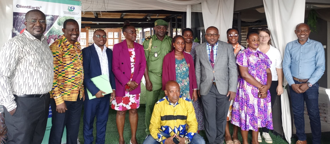 Forêts Communautaires au Gabon : Vers une réforme du cadre juridique du CSGP