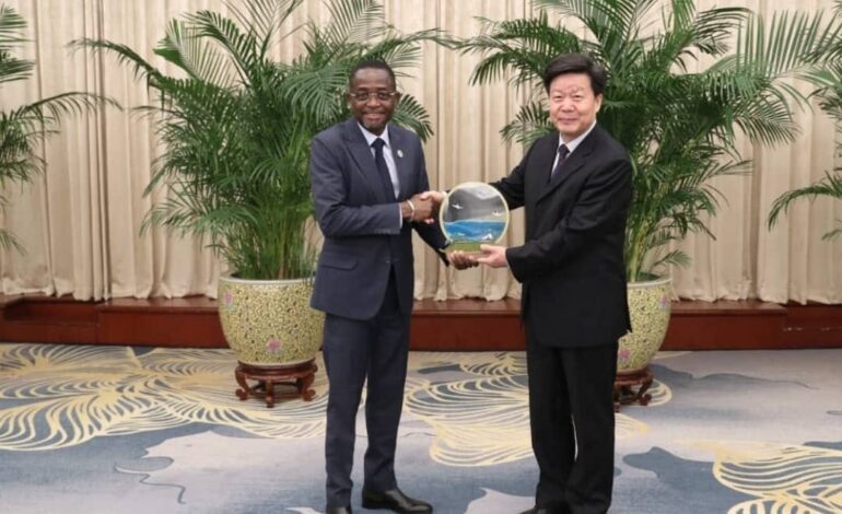 Coopération Chine-Gabon : pourquoi Libreville continue de parier sur Pékin pour relancer son secteur minier