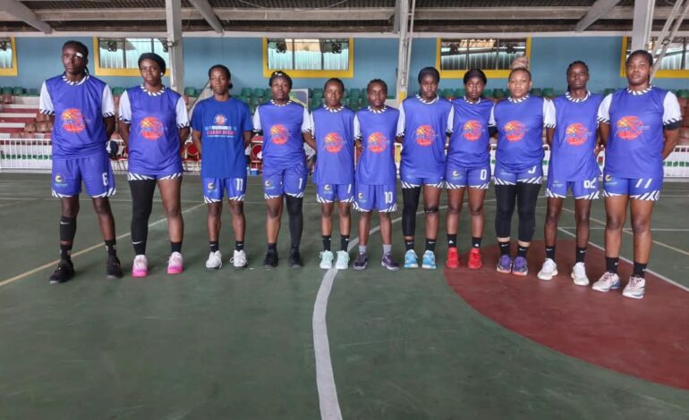 Basket-ball : La bataille pour les play-offs s’annonce électrique