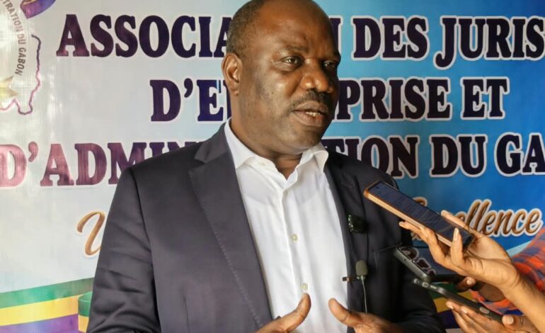 Hugues Mbadinga Madiya illumine sur les Partenariats Publics-Privés 